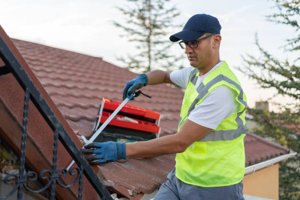 Best Attic Insulation Installation  in Van Wert, OH